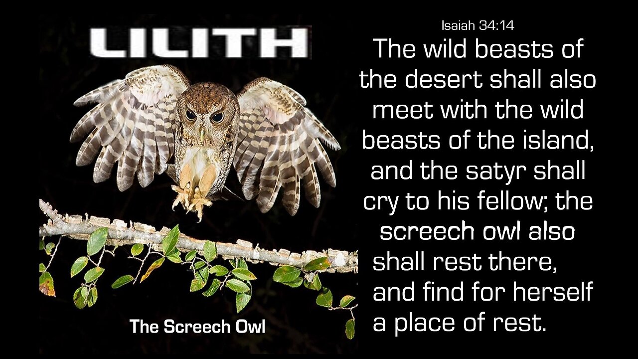 LILITH- THE SCREECH OWL #45