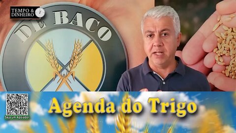 Conversas educadas, até o momento...