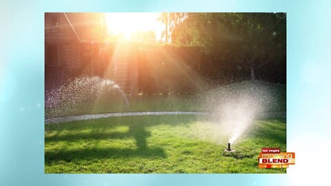 Easier Ways To Do Things At Home This Spring