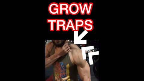 🗻GROW TRAPS #shorts #youtubeshorts