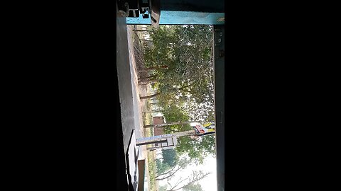 Wonder Wizard view
