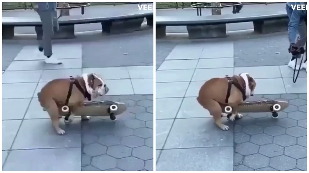 When you can't skateboard