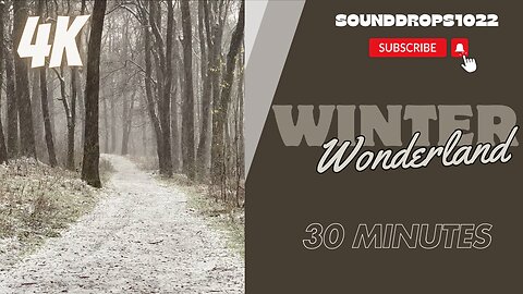 30 Minutes Snow Ambience - Relax and Enjoy the Snow
