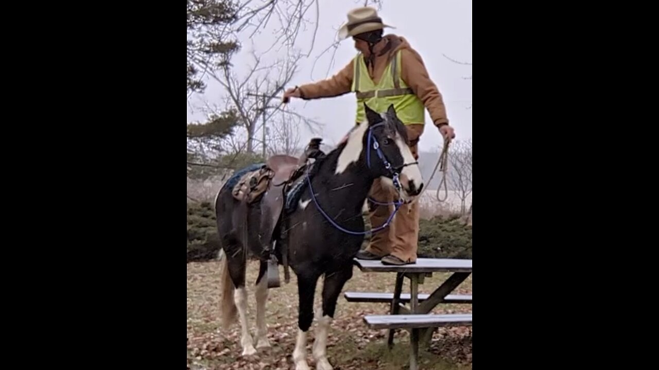 Rain's first session - pick up rider from raised mounting platform - 6 Jan 2024