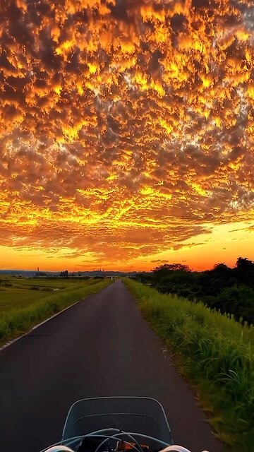 Beautiful Scene in Nature