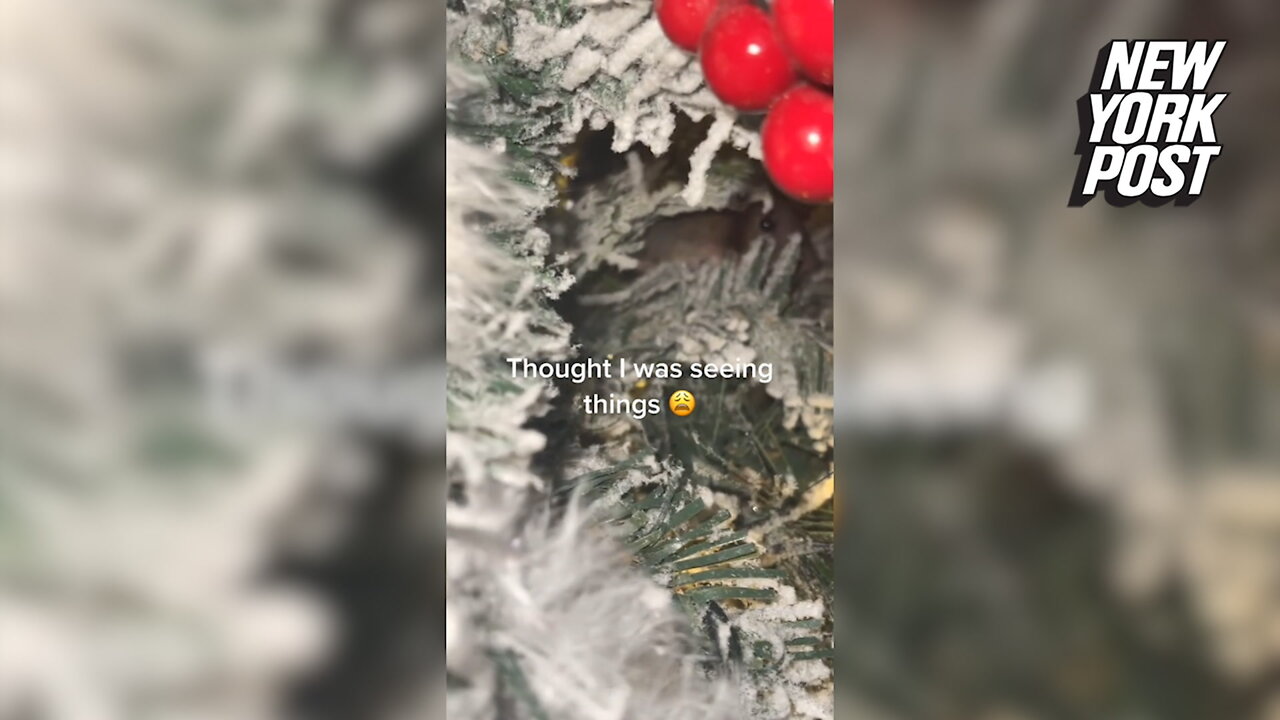 'My biggest fear': Mom horrified by two creepy eyes hidden inside Christmas tree