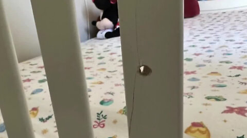 Frightening incident for family as bullet is discovered in little girl's pillow