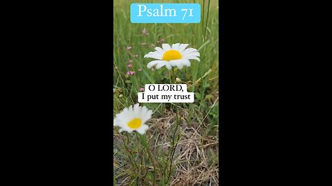 Oh, Lord, I put my trust in You. #Jesus #God #Godvideo #shorts #psalms #psalm 71 #bible #Amen