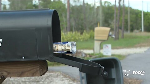 Thieves steal from mailboxes at dozens of homes in a Lee County neighborhood