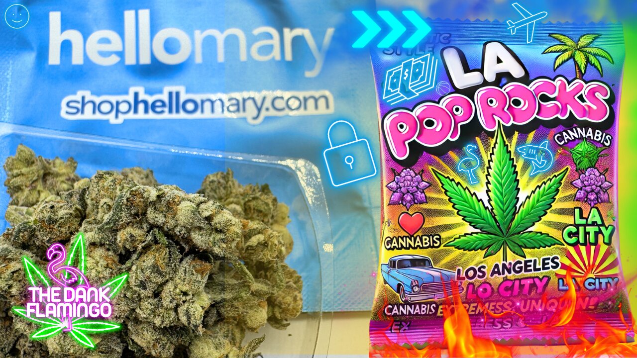 Trying LA Pop Rocks THCa from ShopHelloMary! The Dank Flamingo Cannabis Review!!