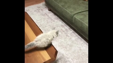 INCREVA POR FAVOR - ENTRETENIMENTO