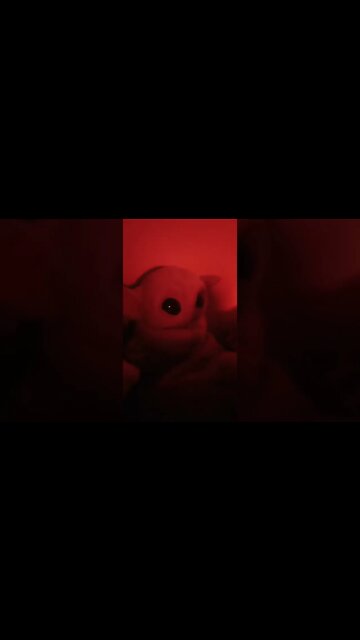 Tim & The Crackpot Fake News Packman Reality