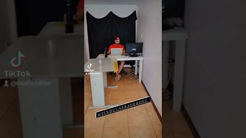 o dia a dia na mansão Shark