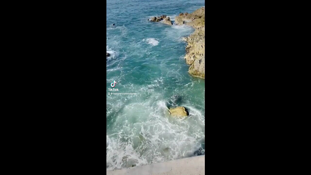 #ocean #view while #walking #tamararoseblodgett