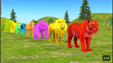 Paint Animals Gorilla Cow Tiger Lion Elephant Fountain Crossing Animal Cartoon