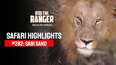 Safari Highlights #282: 14 - 17 July 2014 | Sabi Sand Nature Reserve | Latest Wildlife Sightings