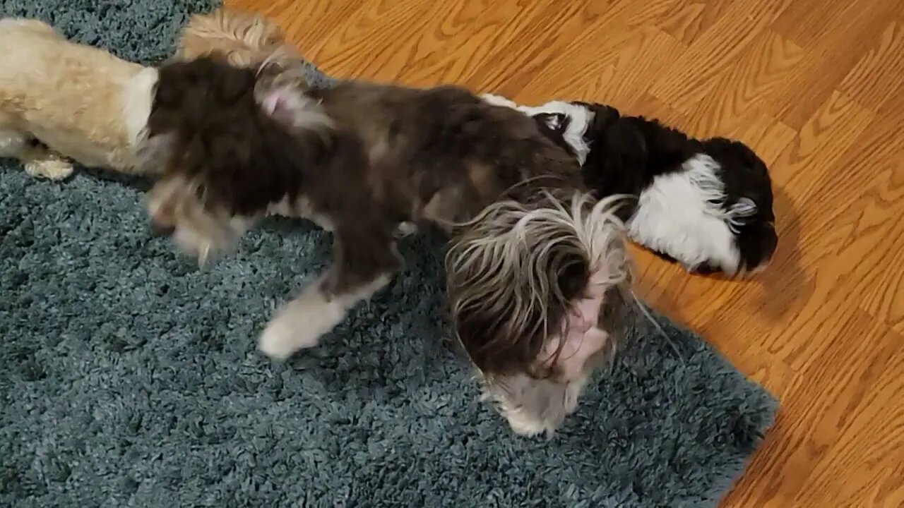 Kiki - Waiting To Go Home