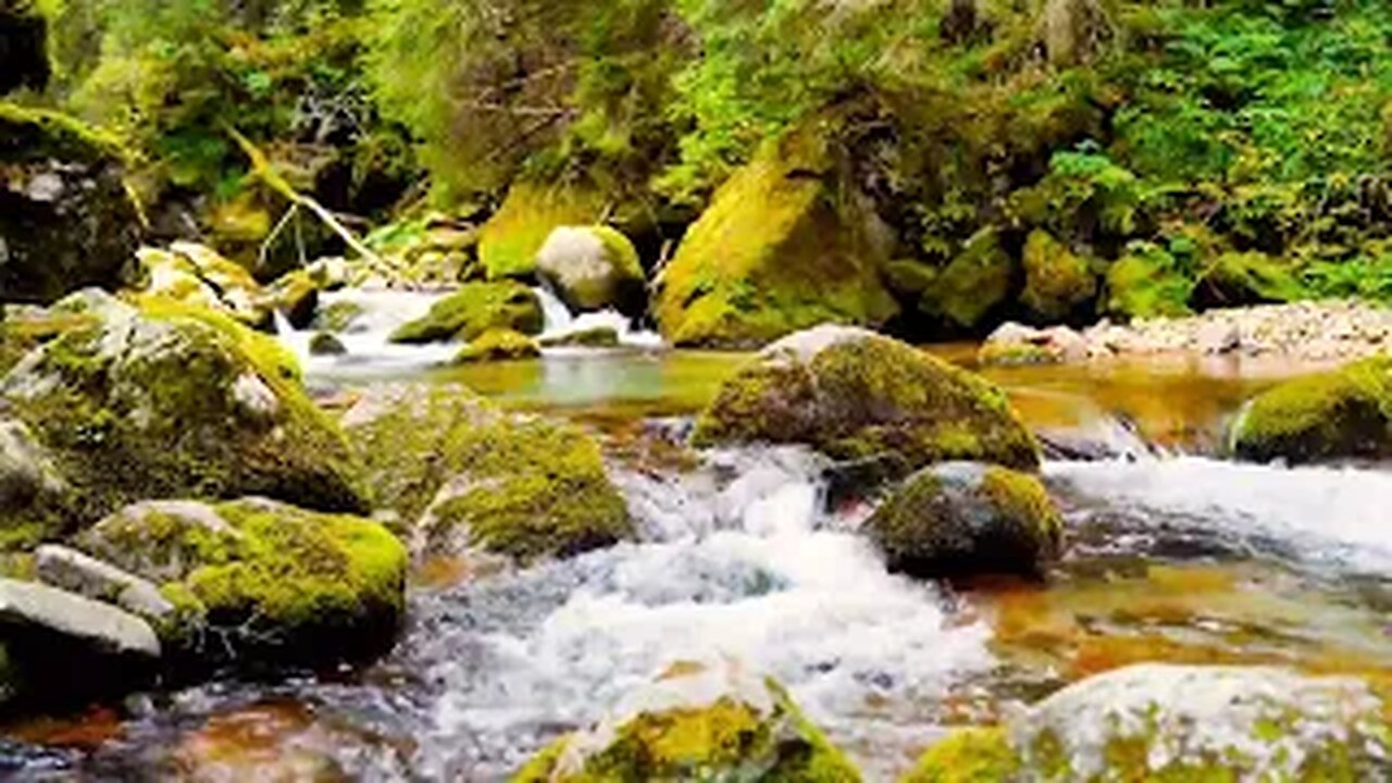 Relaxing sounds of water flow in forest for stress relief and meditation.