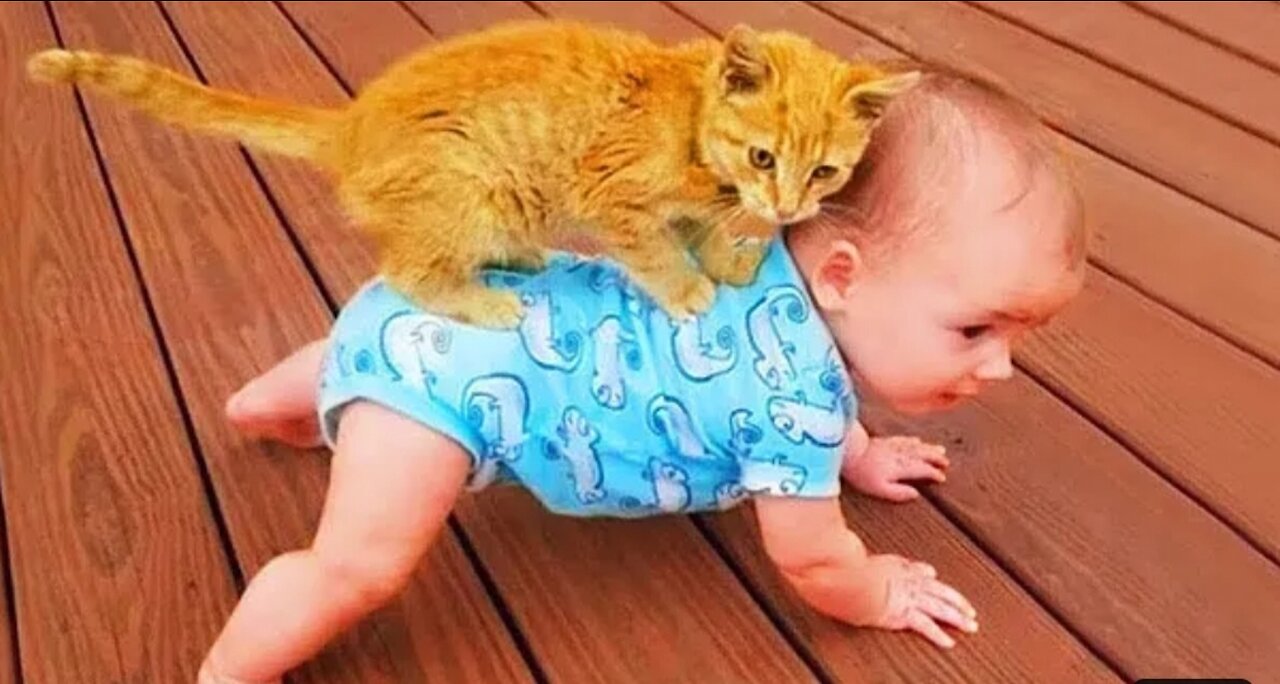 Funniest baby and cat are bast friends