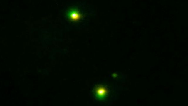 UFO through night vision, two objects synchronous flight
