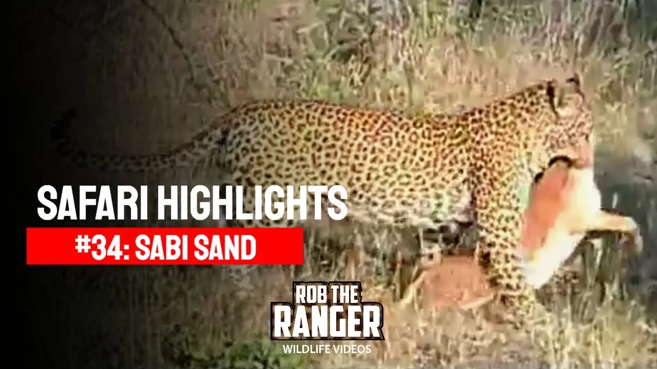 Safari Highlights #34: 07 - 12 March 2010 | Sabi Sand Nature Reserve | Latest Wildlife Sightings