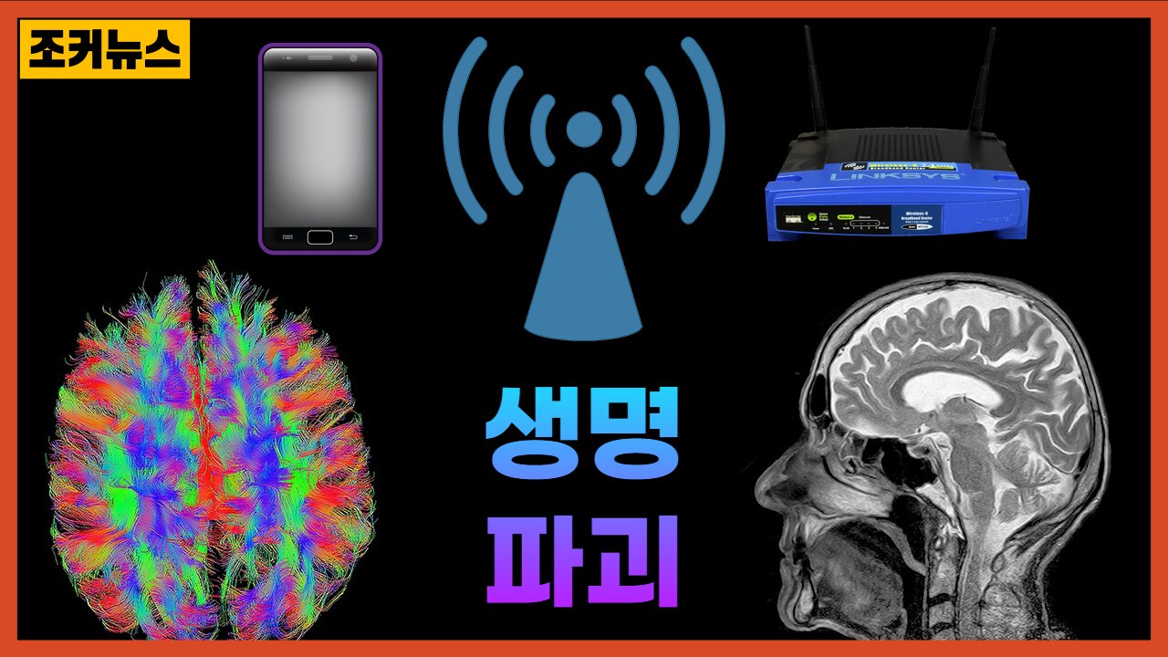 보이지 않는 생명파괴 Electromagnetic Pulse of Death