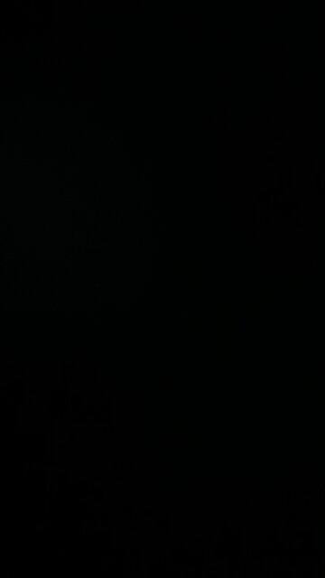 Democratic party morals