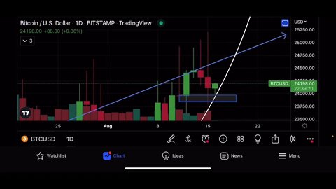 BITCOIN FACING RESISTANCE AT $24,456