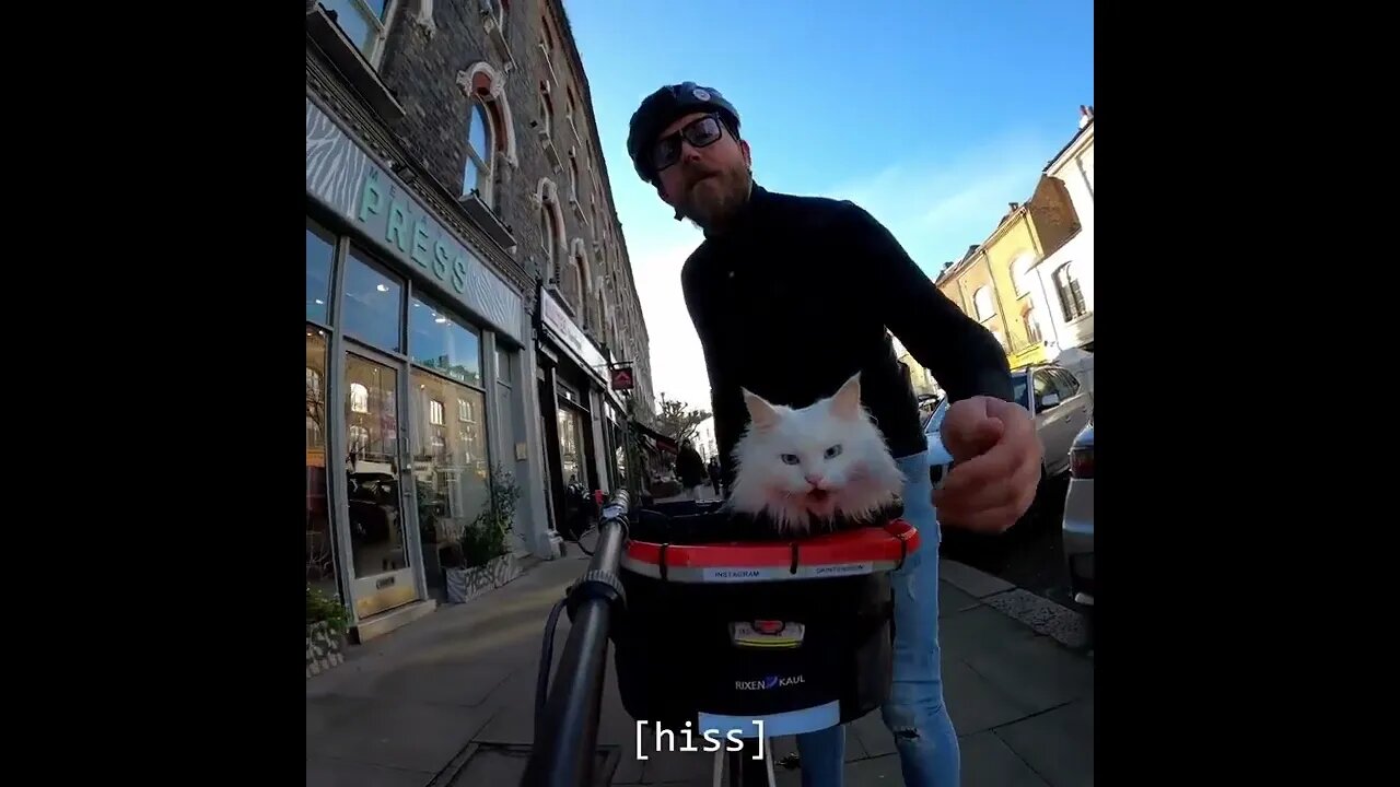 Yeah, you tell'em