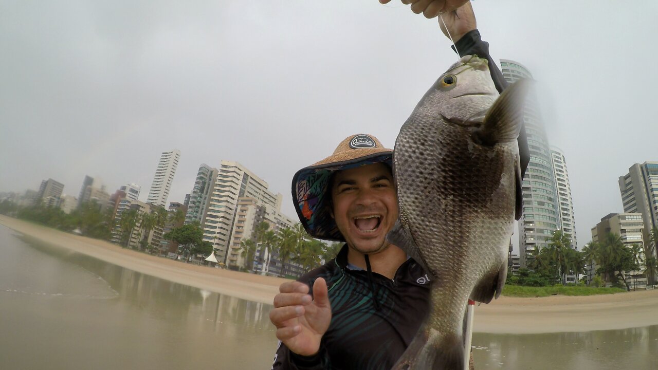 Fishing Sargus on a rainy day