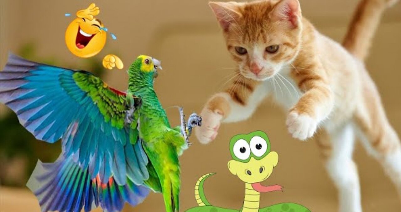 FUNNIEST ANIMALS 😹 Funny Animal Videos Compilation🤣🤣🤣🤣.mp4