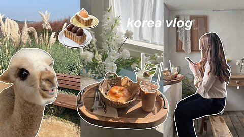 korea vlog 🦙 alpaca world, nari park, more cafe hopping, late night shopping, speakeasy bar