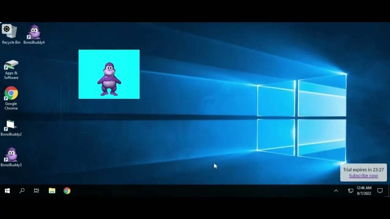 Bonzi Buddy on apponfly