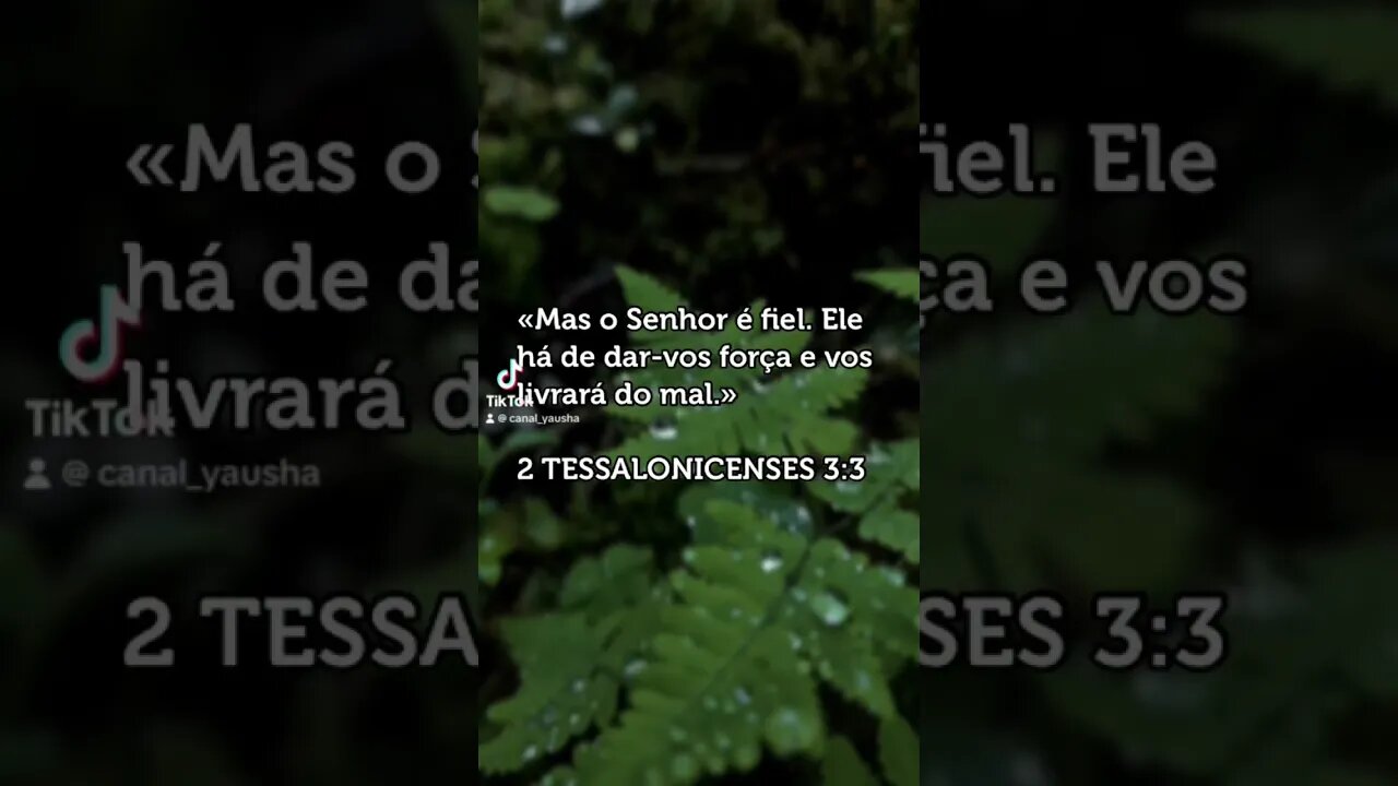 2 Tessalonicenses 3:3 #canalyausha #yausha #yauh #jesus #jesuscristo #cristão #cristo #yeshua