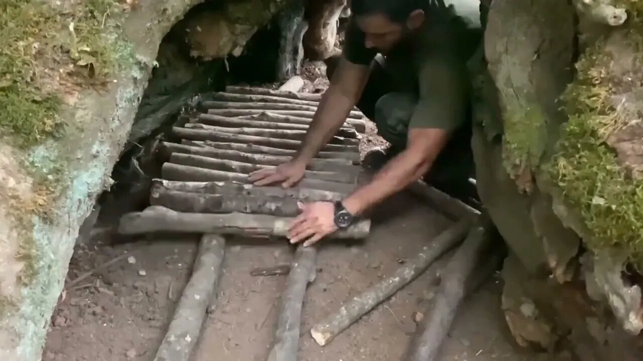 Build a warm shelter with a fireplace inside a 5,000 year old tree.14