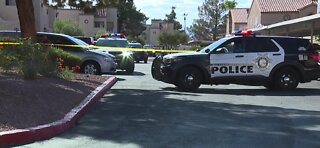 LVMPD: Son stabs mother to death in Las Vegas apartment