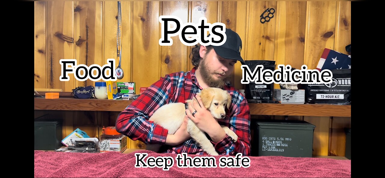 Prep For Your Pets