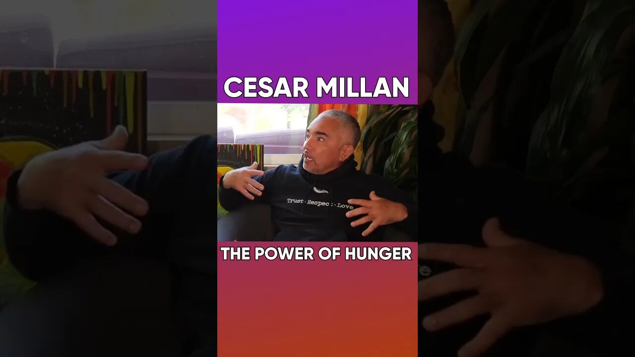 How Cesar Stood out and Became the Dog Whisperer