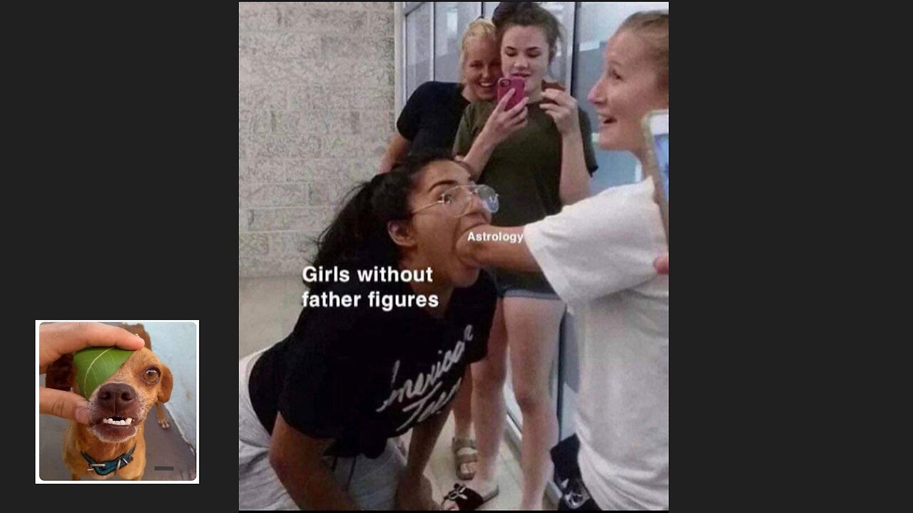 Memes That Will 99.798% Make You Laugh. (e22)
