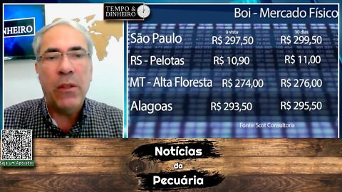 Boi gordo derrete e atinge menor preço do ano com pressão de oferta