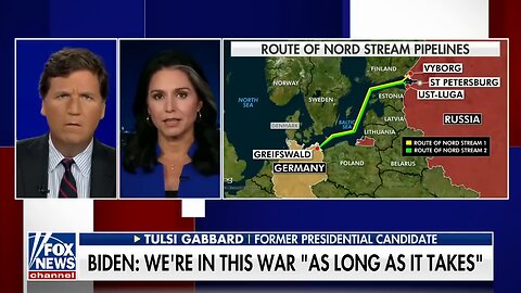 Tulsi Gabbard tells Tucker Carlson the Biden admin have been 'busted' on 'absurd cover-up'