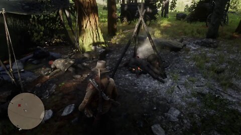 Red Dead Redemption 2 - Skinner Showdown