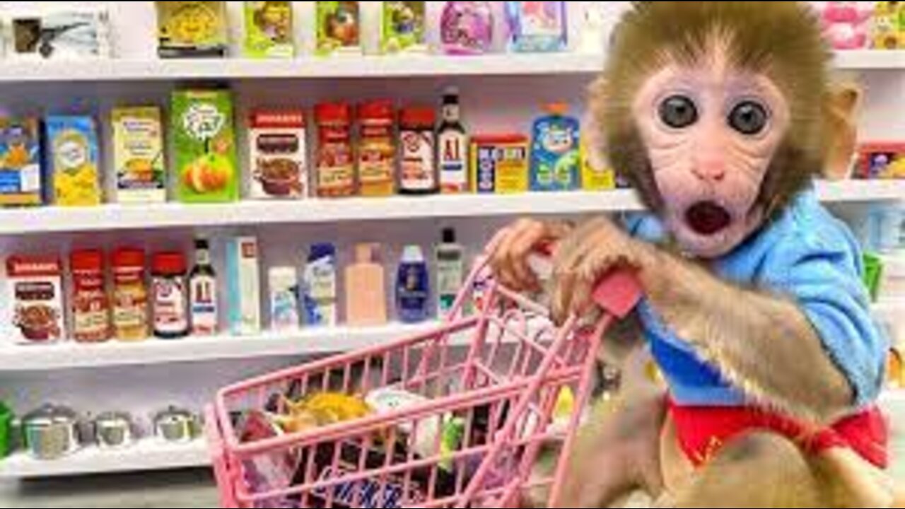 Monkey Baby Bon Bon doing shopping for toys in the supermarket and eats ice cream with puppy