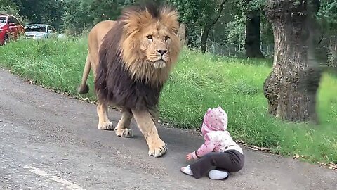 These Animals Don't Forget Their Owners After Years