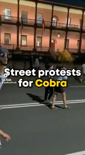 people protesting for Andrew tate