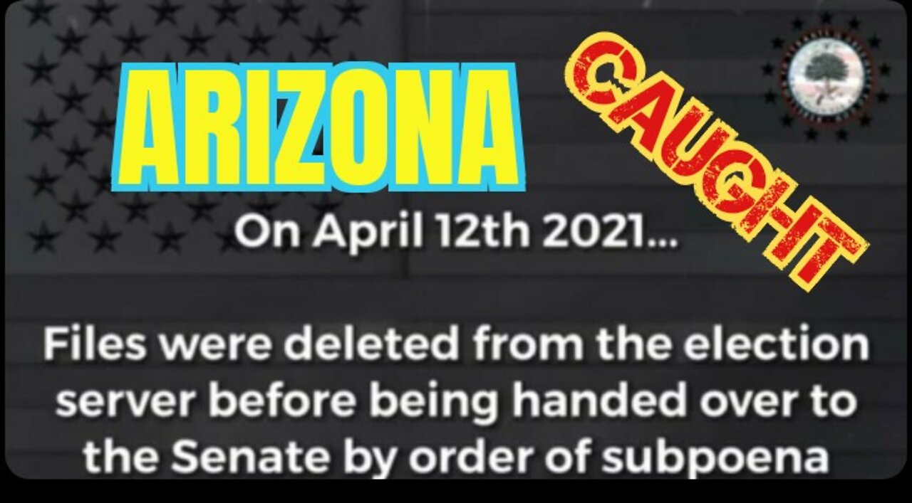 AZ Election Fraud‼️EXPOSED