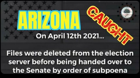 AZ Election Fraud‼️EXPOSED