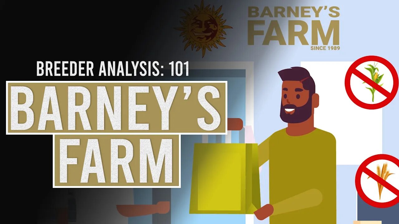 Barneys Farm: Breeder Analysis 101