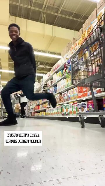 Cows Don’t Have Upper Front Teeth