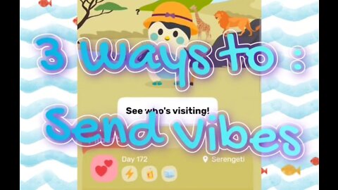 Mypetfinchapp: 3 Ways To Send Vibes